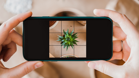 Jak zrobić instagramowe zdjęcia flat lay?