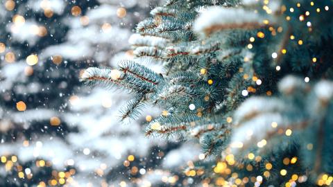 Świąteczny klimat na zdjęciach - jak go osiągnąć?