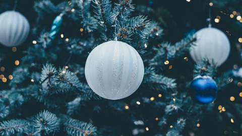 Pracuj nad kompozycją swoich zdjęć! Poznaj proste zasady! 