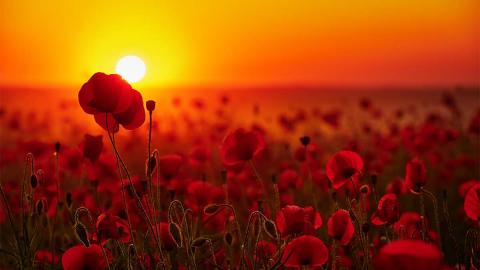 Jak fotografować słońce?