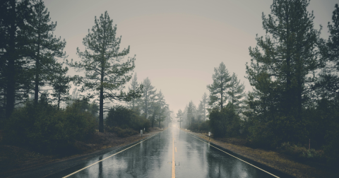 Jak robić zdjęcia w deszczu i mgle? Poradnik fotografa